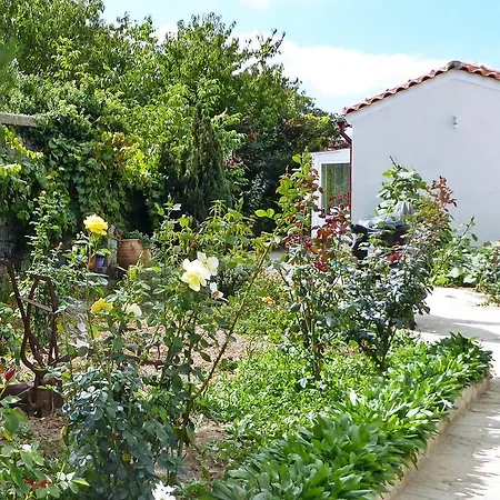Pensjonat Maison Kronio Lassithi Plateau