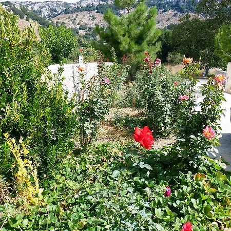 Maison Kronio Lassithi Plateau