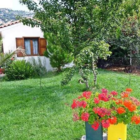 Maison Kronio Lassithi Plateau Pensjonat